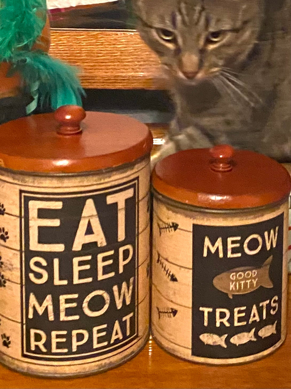 Eat Sleep Meow Repeat Cat Treat Canister Set – Rustic Farmhouse Pet Storage Decor Primitives by Kathy