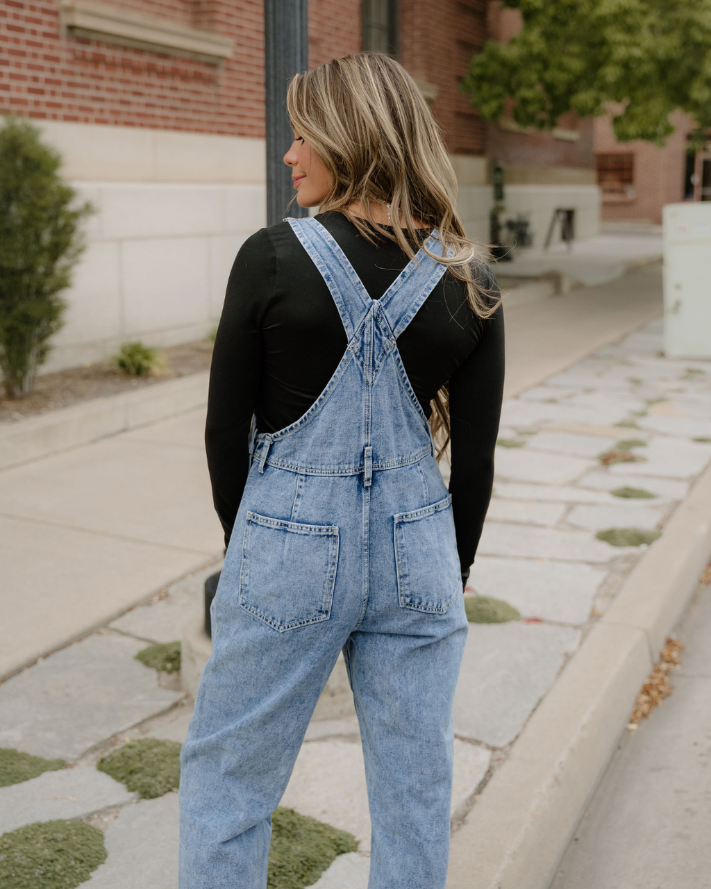 Riley Classic Denim Bib Overalls