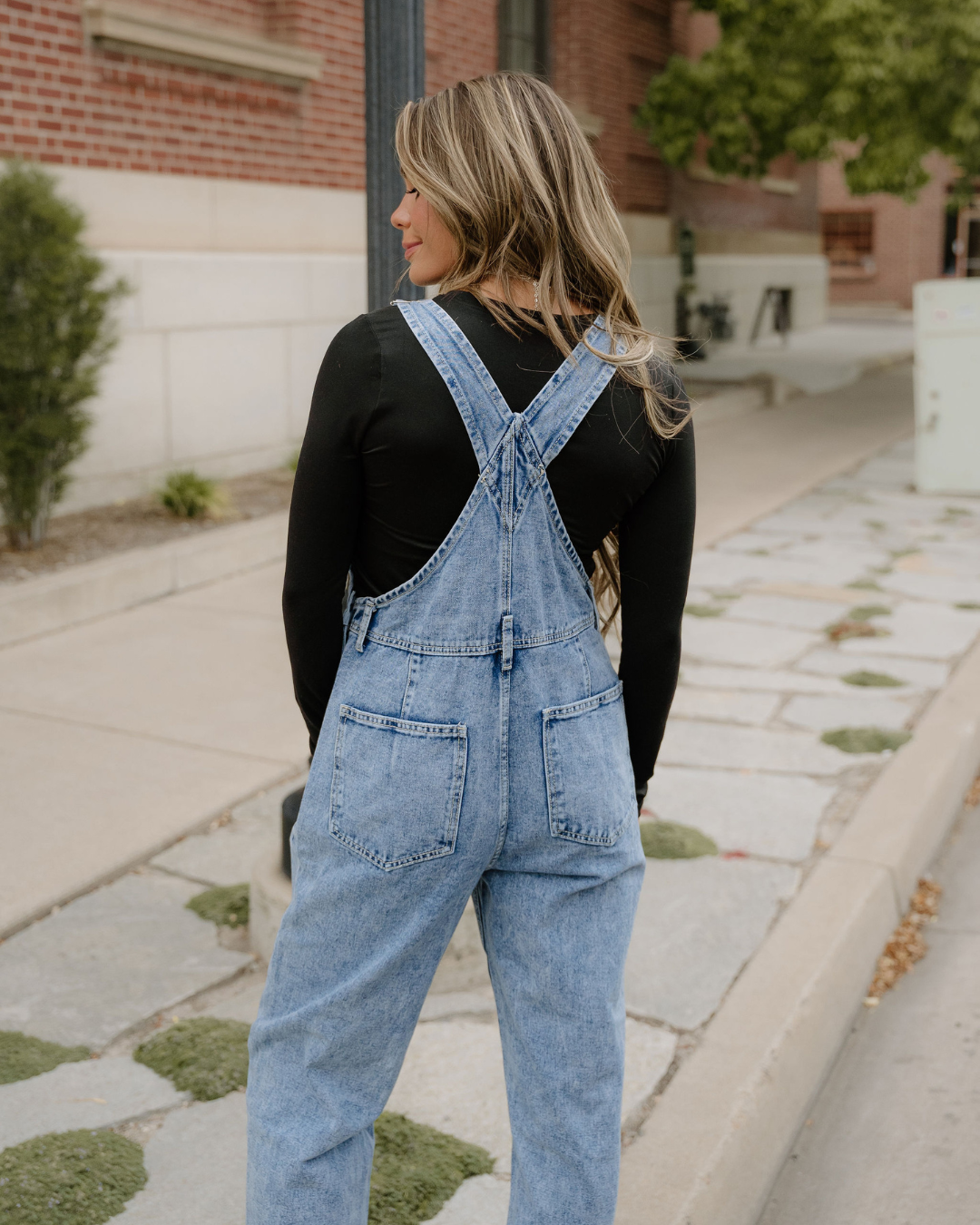 Riley Classic Denim Bib Overalls